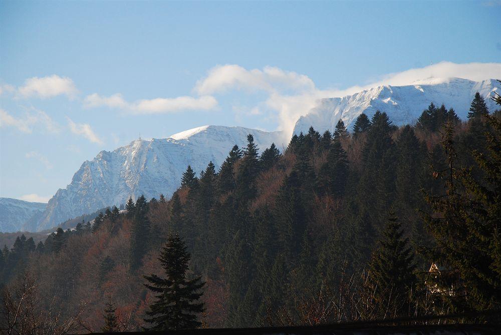 Comodidades del Alojamiento Pensiunea Regina