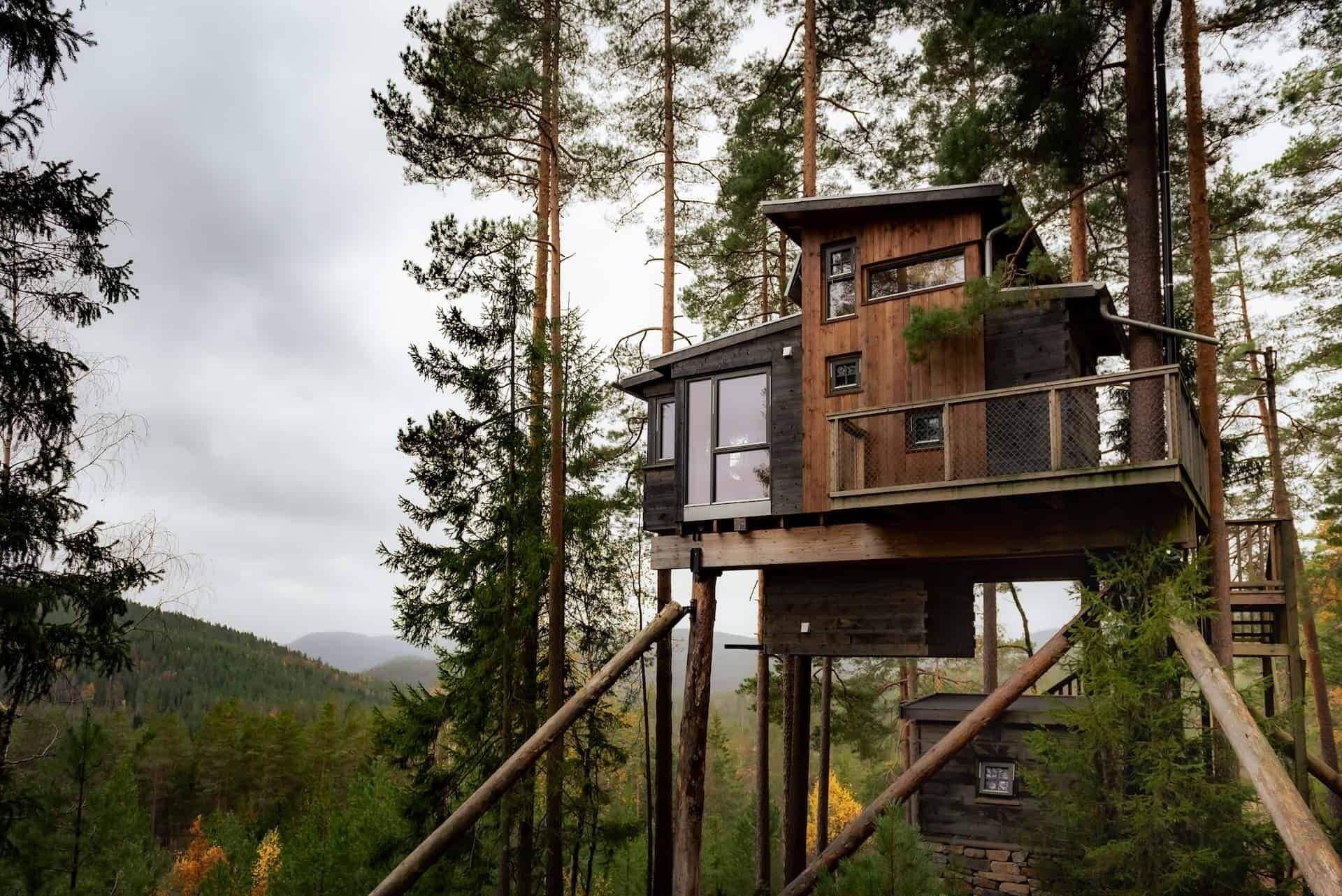 Habitación laila hotels