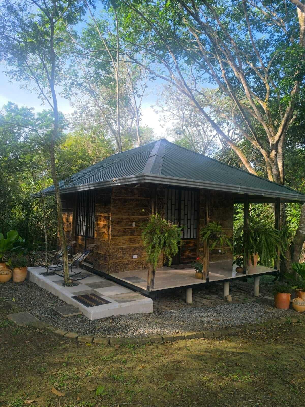 Vista Exterior MORICHE PURA VIDA