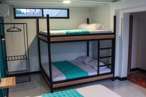Alojamiento - Zamia Hostel