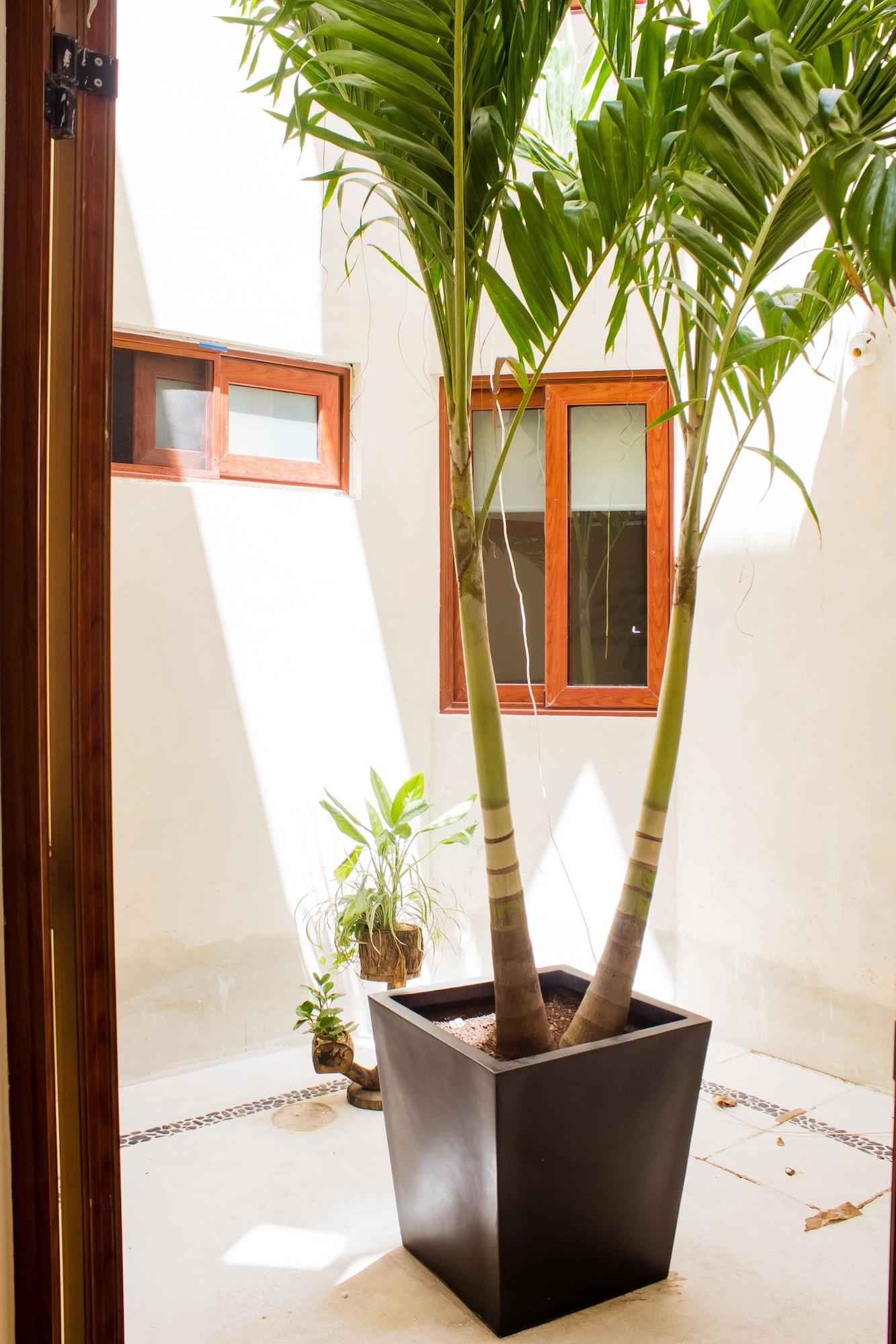 Comodidades del Alojamiento Casa Azul Maya