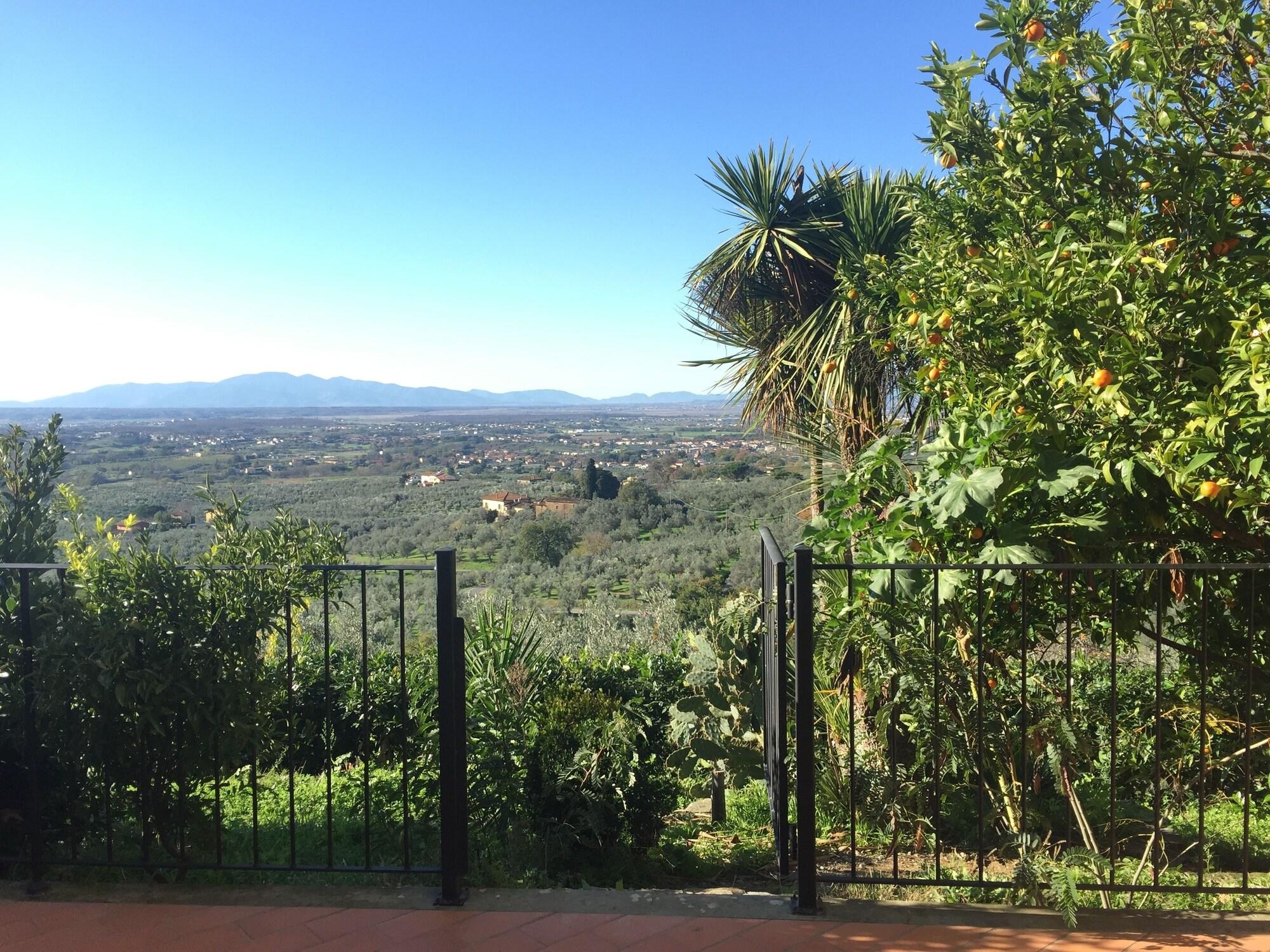 Varios Agriturismo Podere Rondinaio