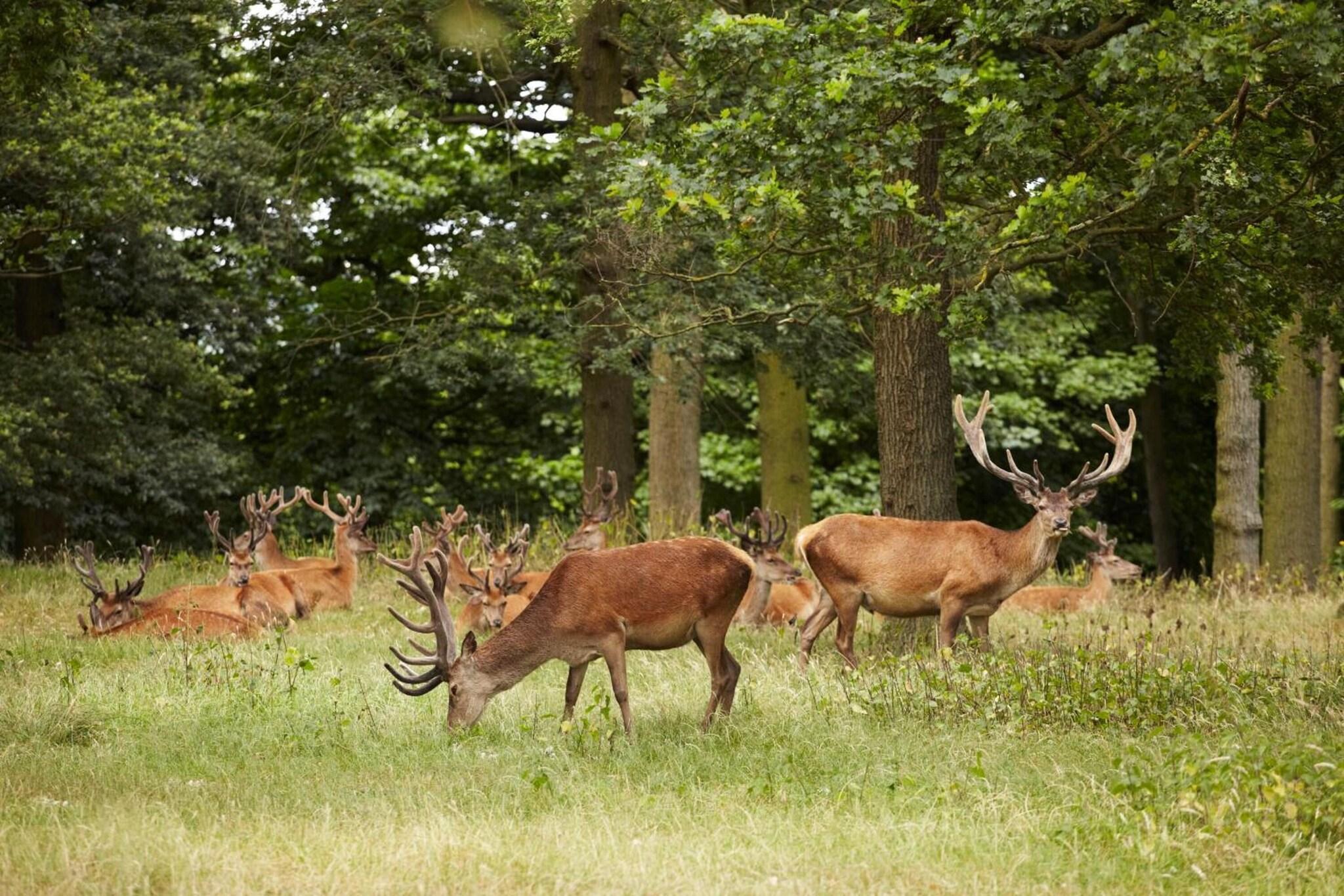 Vista Exterior The Victoria