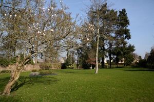 Alojamiento - Hôtel Le Lion d'Or