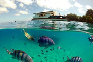 Actividad - Paseo de Barco en Fernando de Noronha y Bahía del Sancho