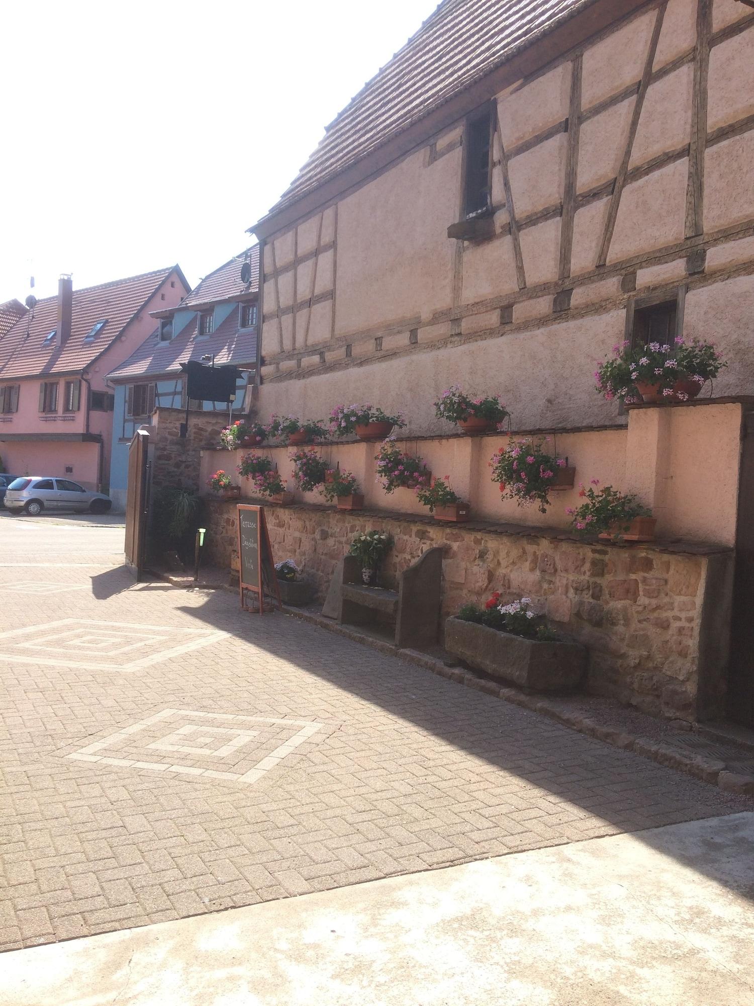 Vista Lobby Domaine Sylvie Fahrer & Fils