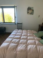 Alquiler Vacacional - Farmhouse with pool and park, ideal for families or groups of friends