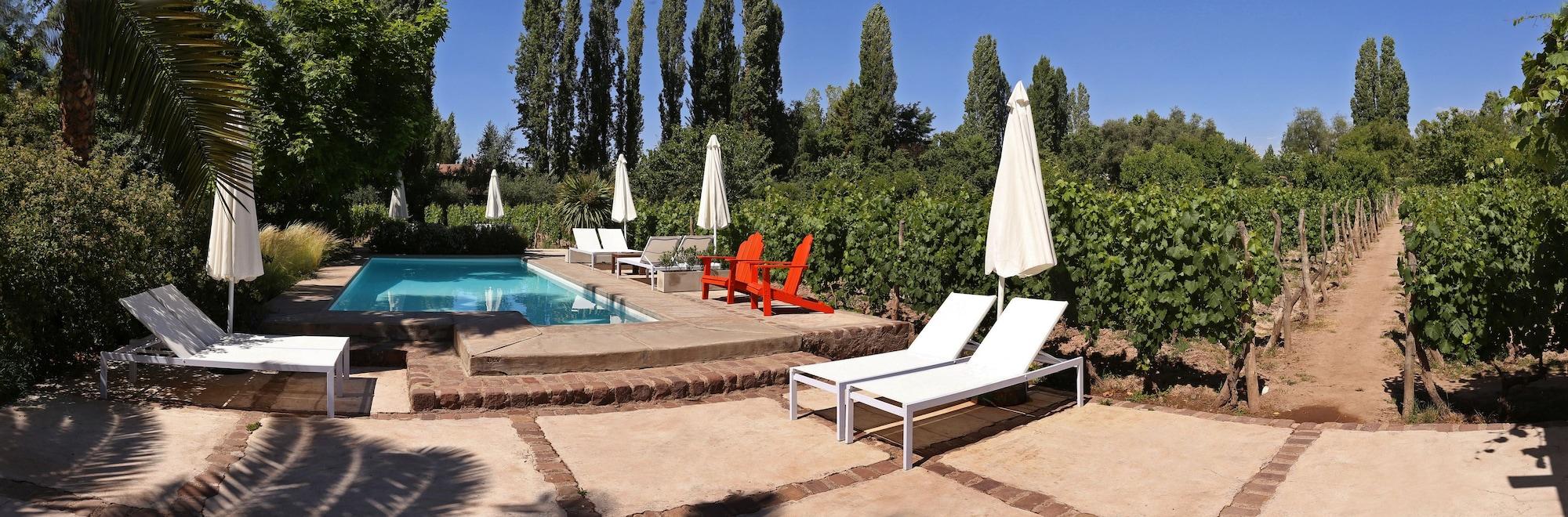 Vista Piscina Finca Adalgisa Wine Hotel