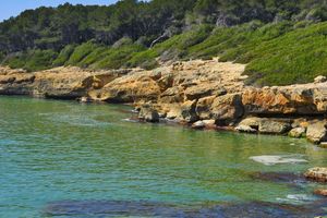 Actividad - Tour en moto de agua por Cala Mora