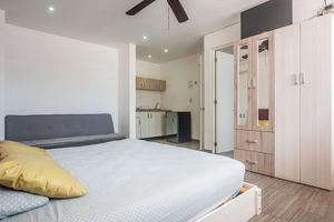 Explora esta ruta por el corazón de Playa del Carmen