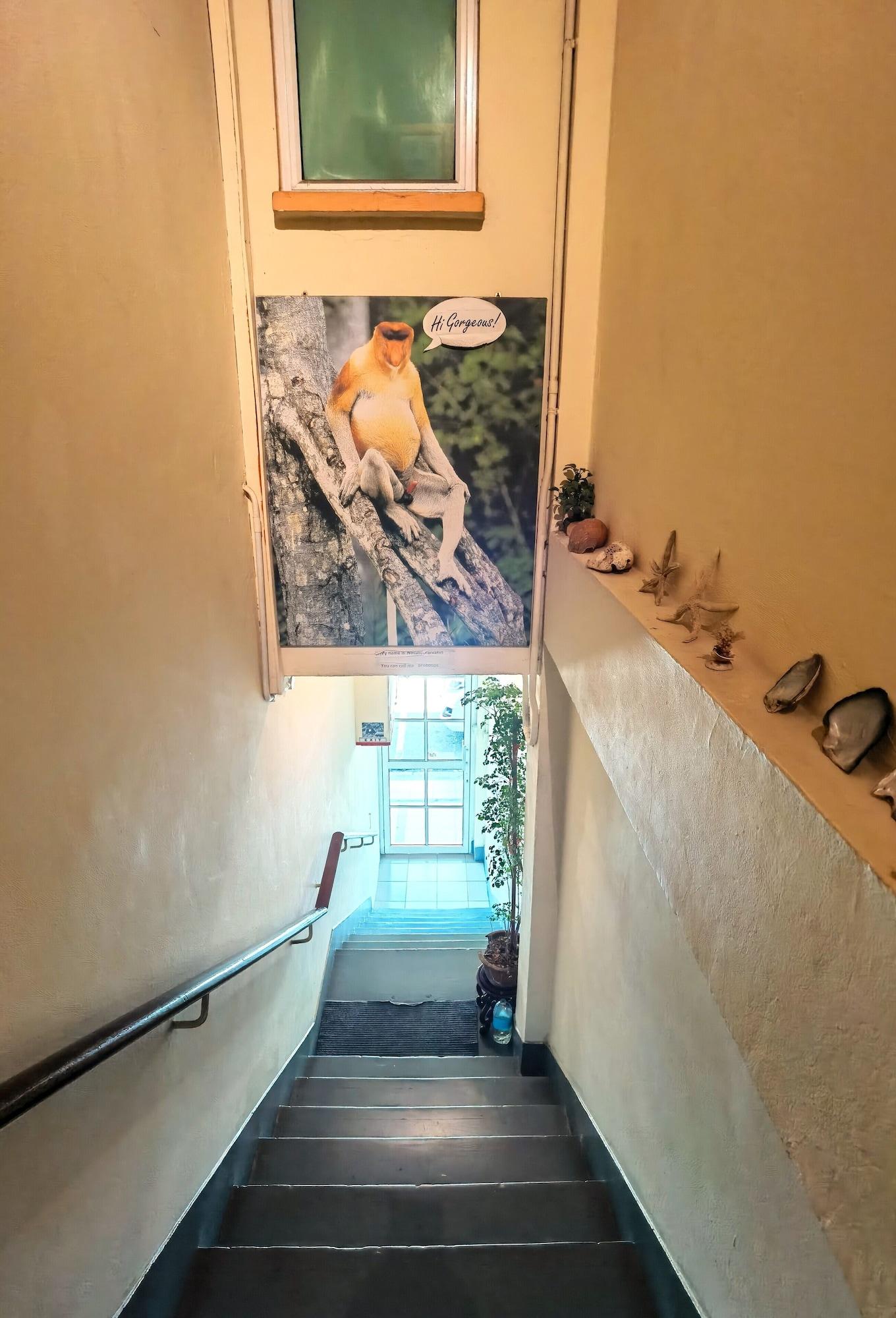 Equipamiento de Habitación Lavender Lodge