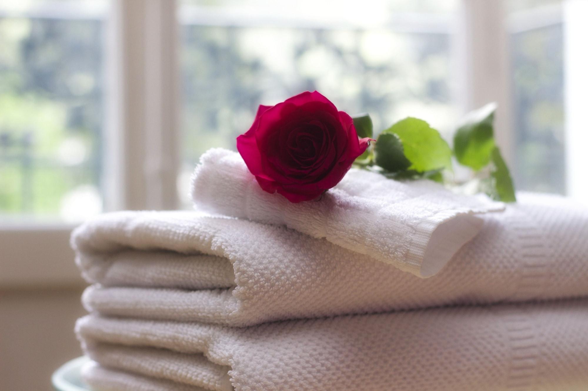 Spa Blue Ridge Manor B&B