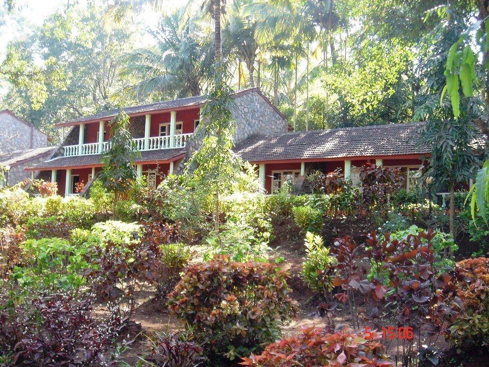 Habitación Bison River Resort