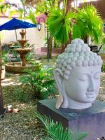 Alojamiento - Terracota Hotel Boutique