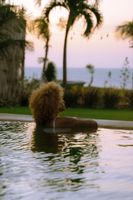 Alojamiento - Hurricane Jeri Praia