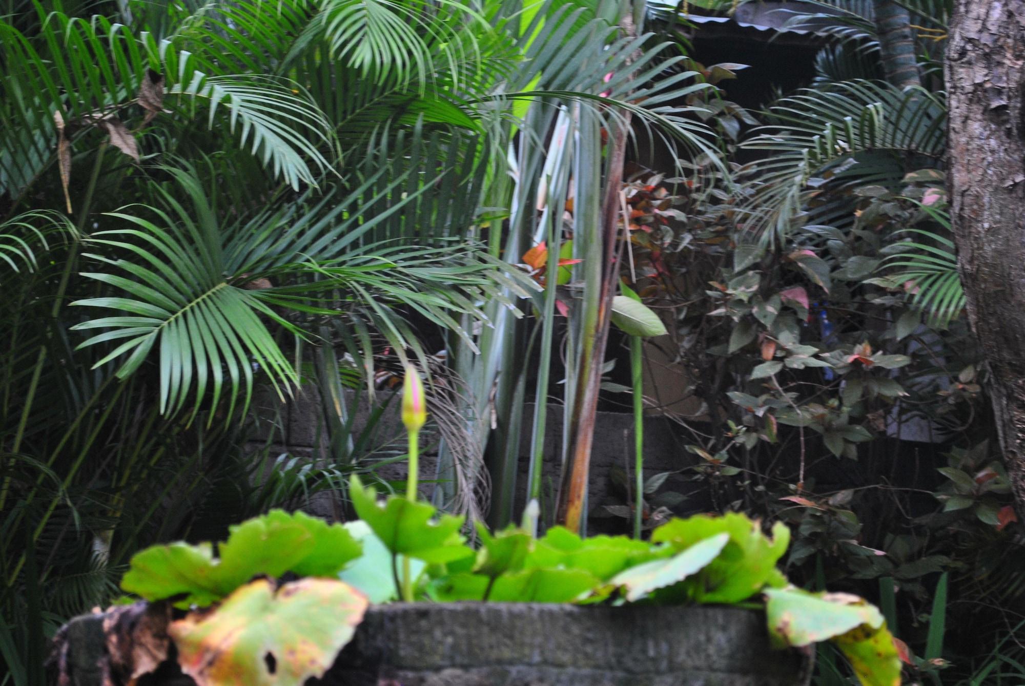 Spa Trijaya Guest House