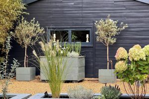 Alquiler Vacacional - Willow Court Farm