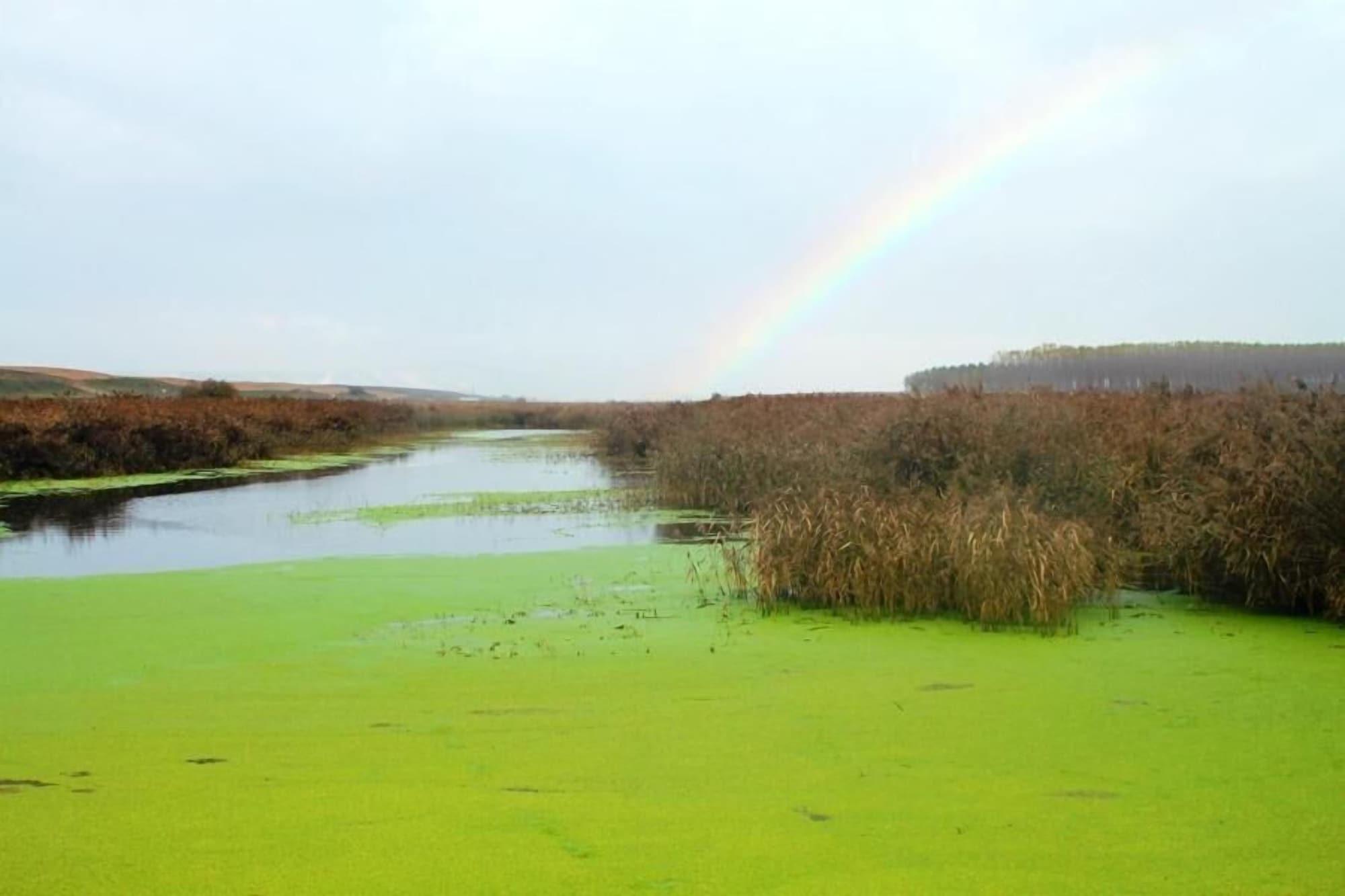 Campo de Golf Hospedería de Alesves