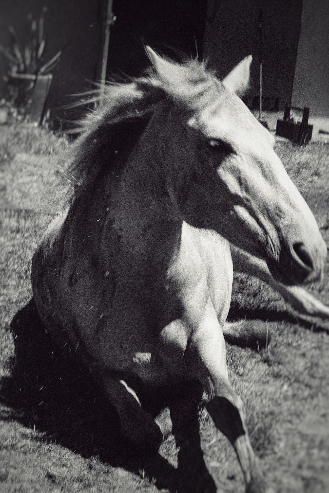 Instalaciones Recreativas Cabra - Porto Covo