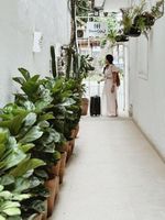 Alojamiento - Peixe Crew Rua das Pedras