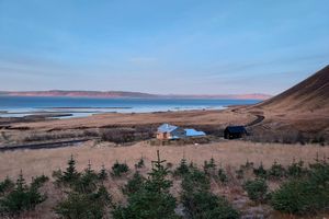 Alojamiento - Guesthouse Nýp