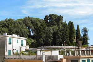 Alojamiento - Albergo Caffaro