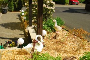 Alojamiento - Pension Ramona