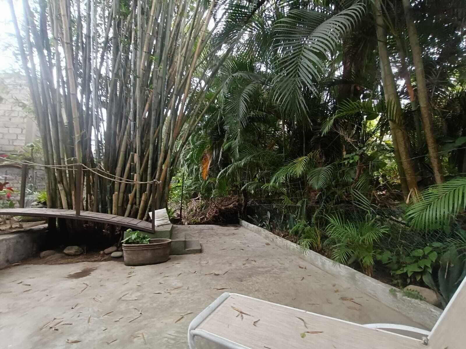 Comodidades del Alojamiento Botanical Studios Sayulita