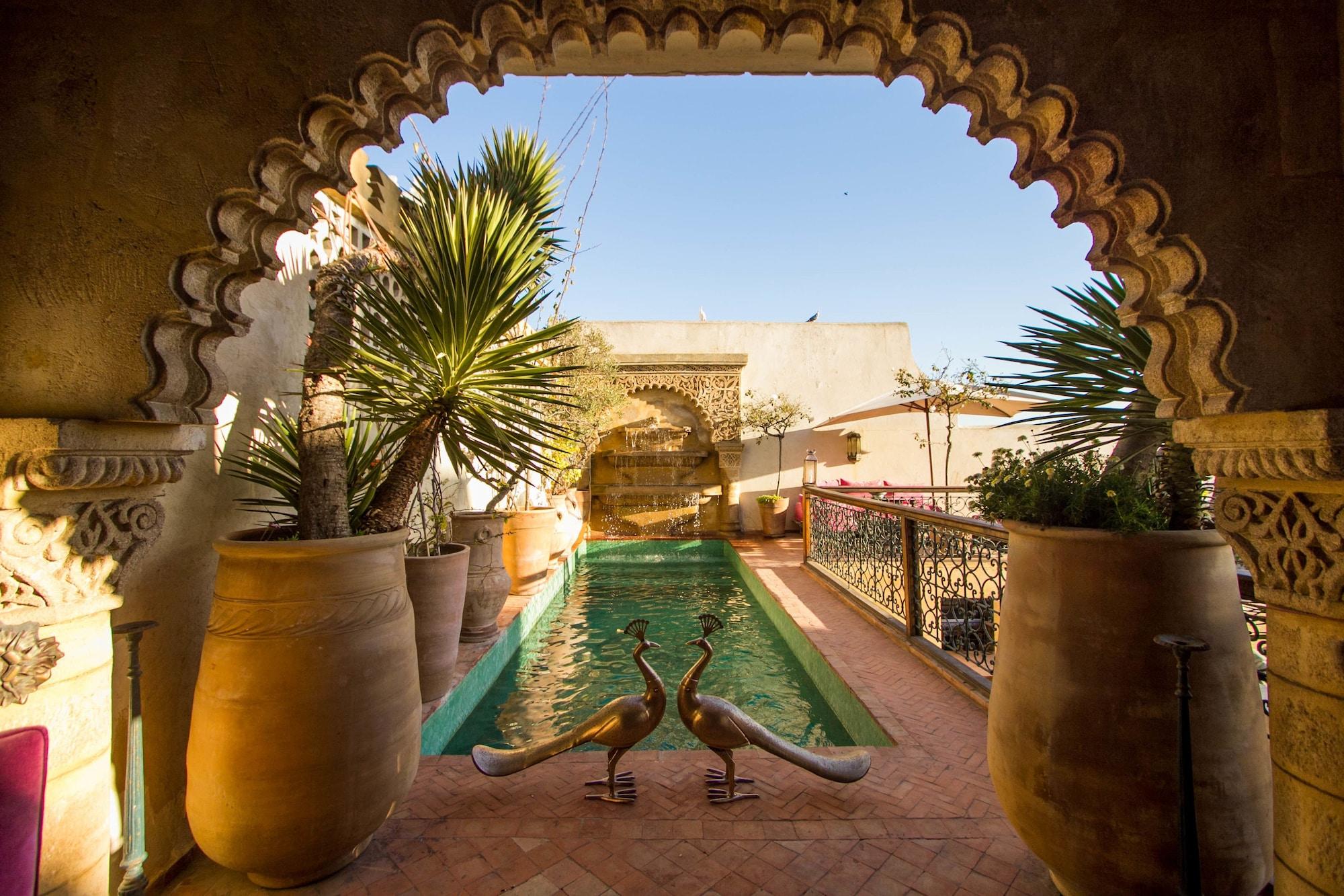 Vista Piscina Ryad Thamayna
