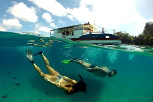 Actividad - Paseo en barco en Fernando de Noronha