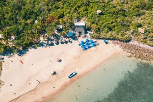 Actividad - Isla Venado