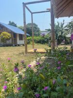 Alojamiento - Tree of Life - Hostel