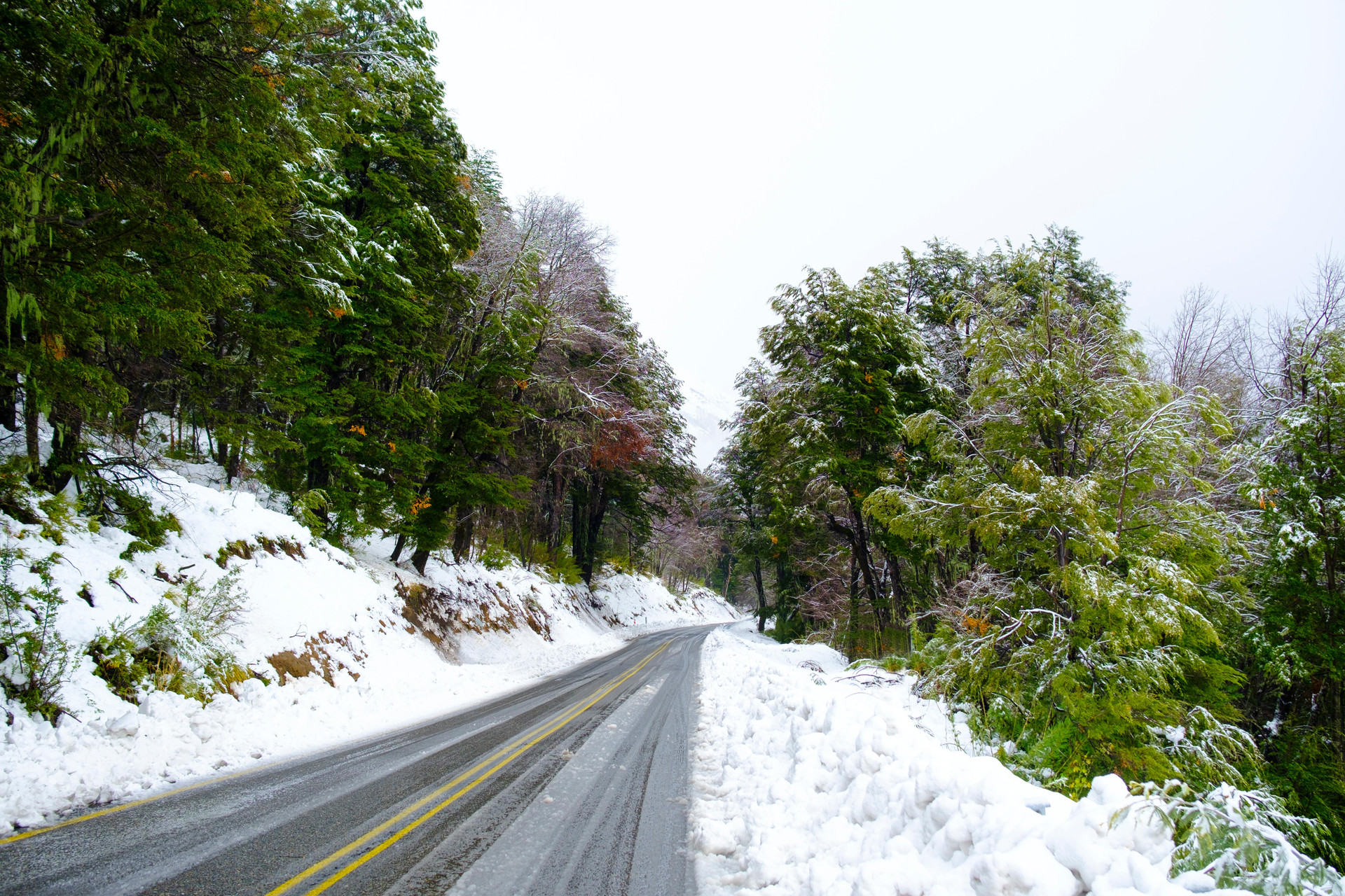 Vista Exterior Hotel Termas Chillán