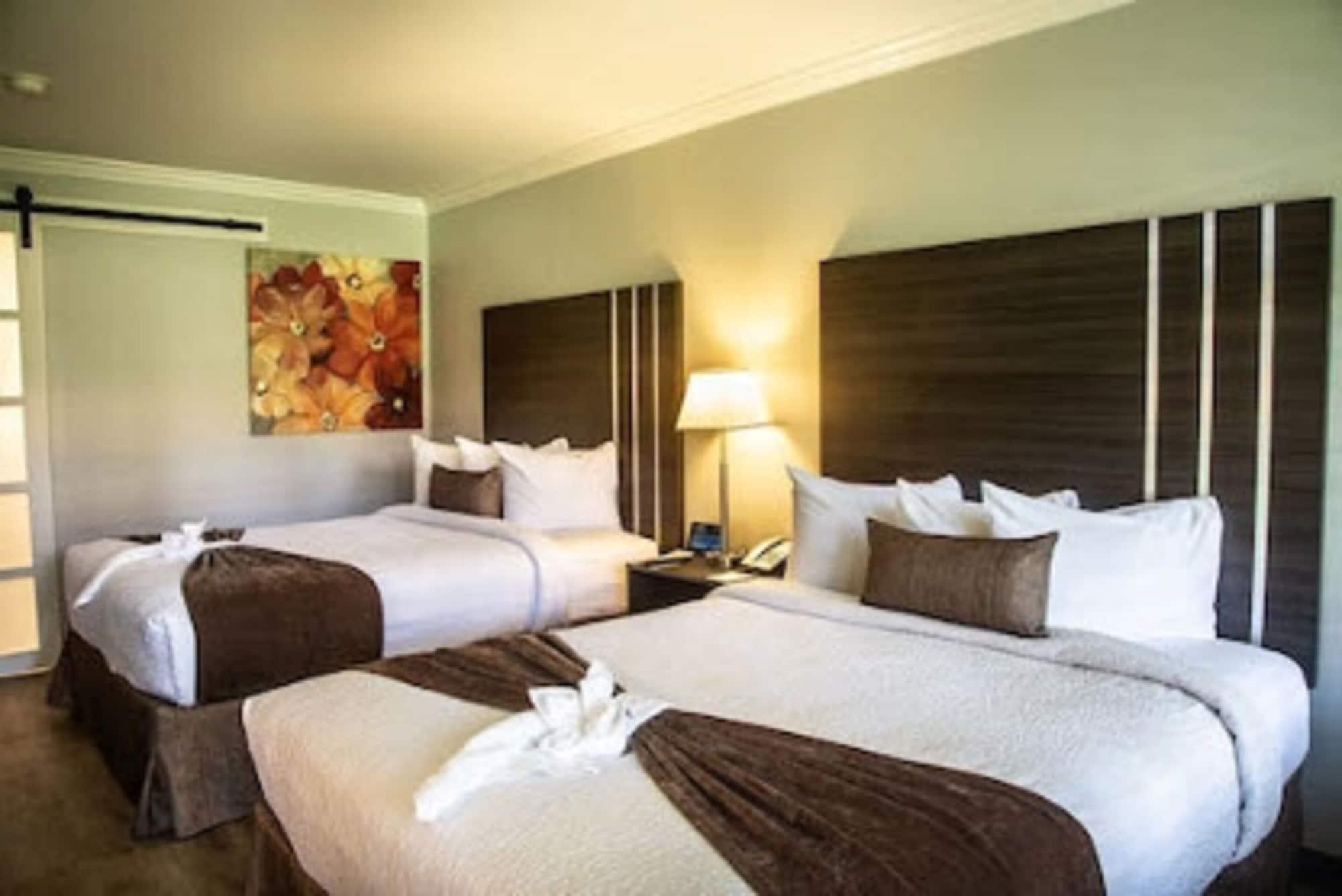 Habitación Palm Garden Hotel