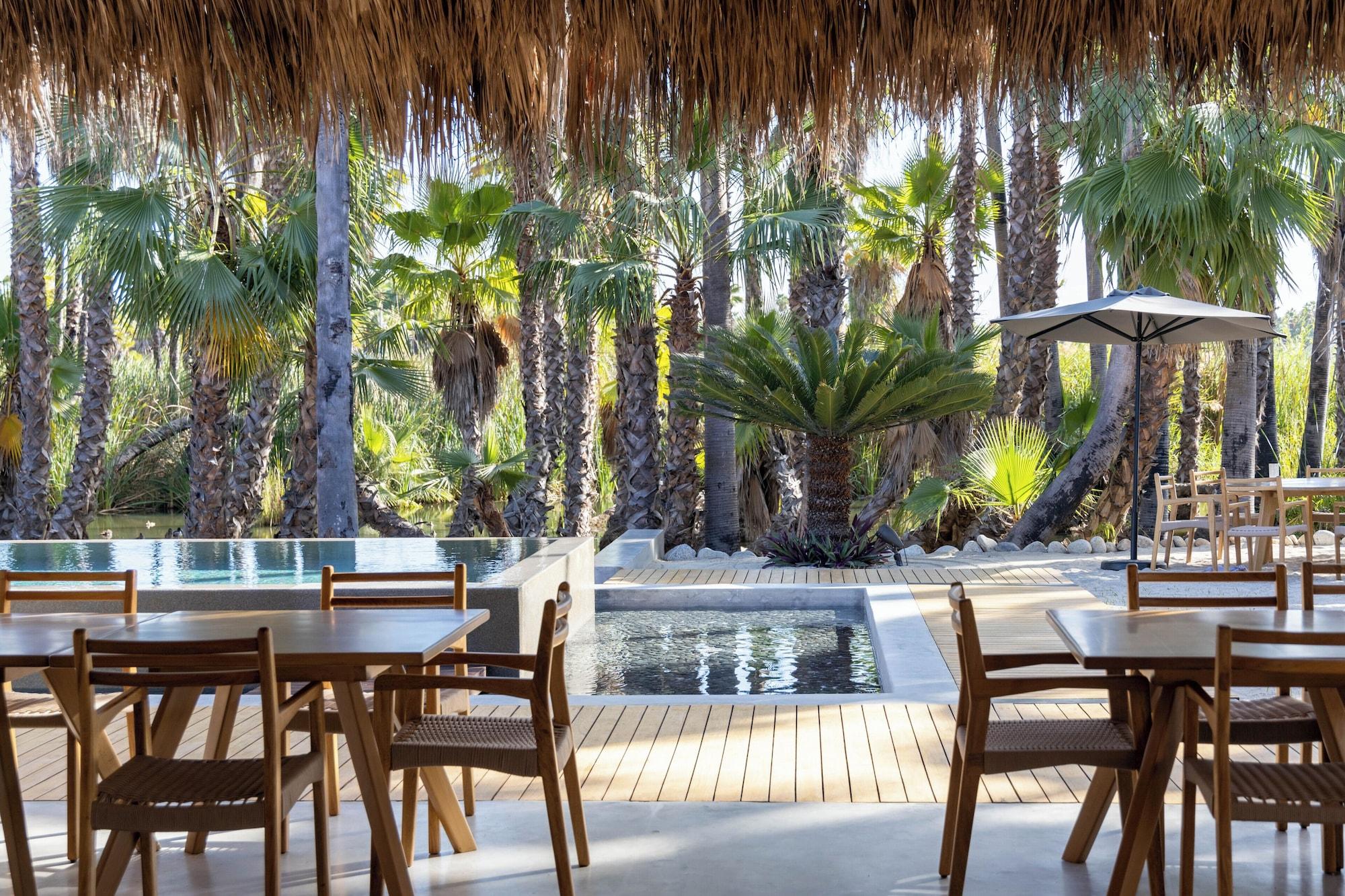 Restaurant NEST Los Cabos