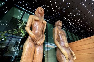 Alojamiento - Hotel Frontera Plaza