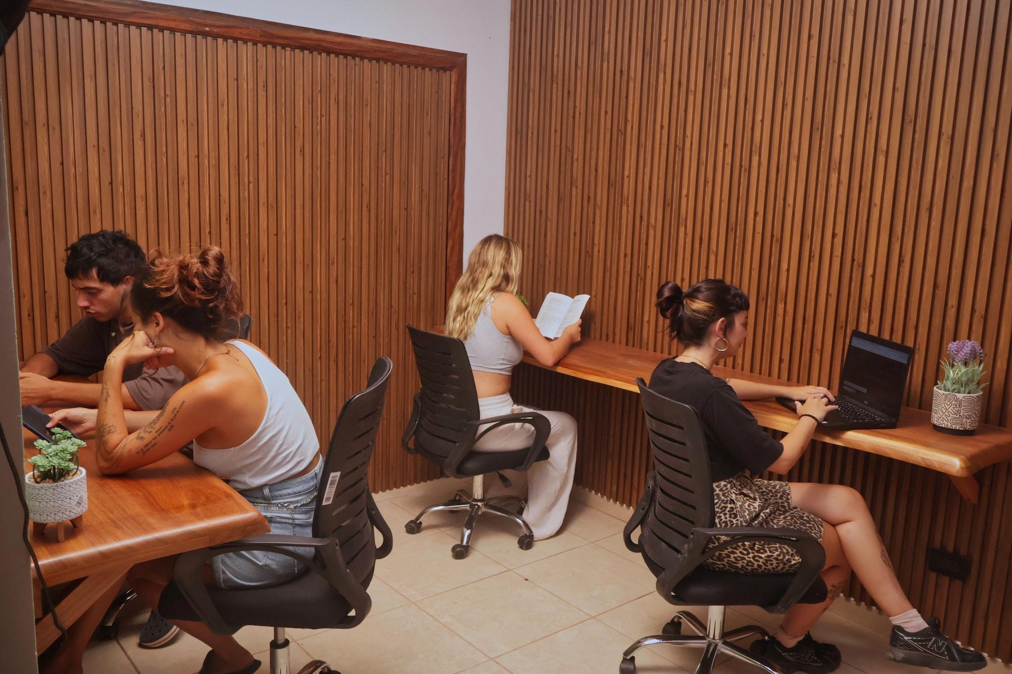 Comodidades del Alojamiento Ceiba Eco Hostel