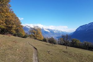Alojamiento - Chalet Diognysos B&B