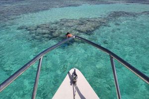 Actividad - Red Sea Adventure: Bayada Leisure Boat Trip with Snorkeling