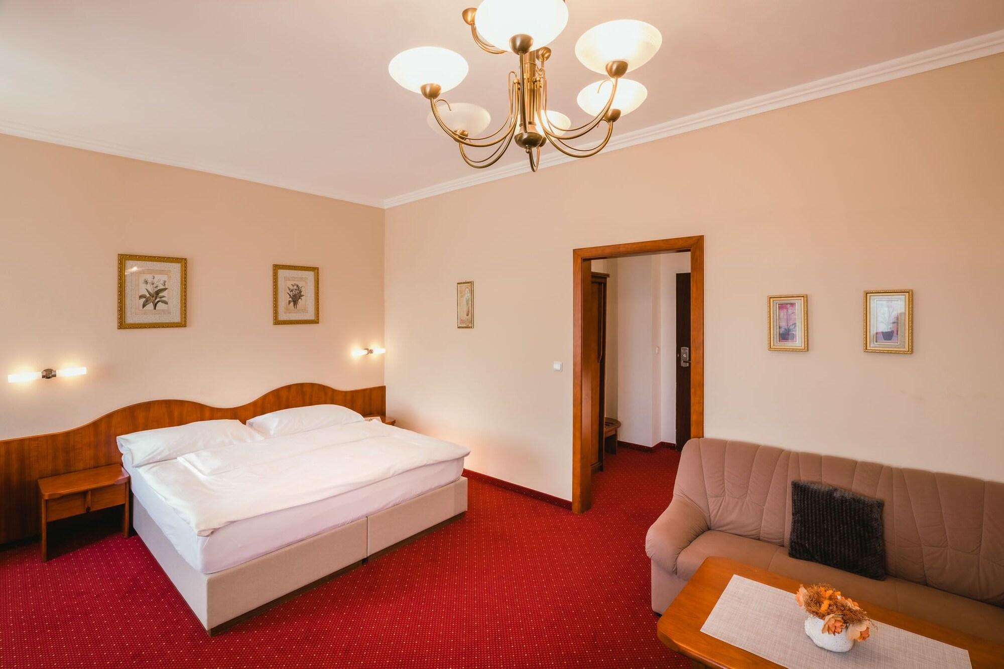 Habitación Wellness Hotel Luzan