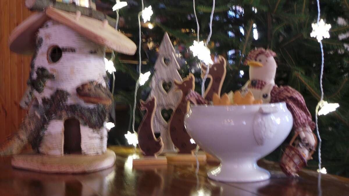 Comodidades del Alojamiento Auberge de la Canardière