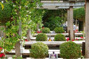 Alojamiento - The Woolpack Inn Warehorne