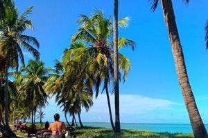 Actividad - Playa Gunga - City Tour + Barra de São Miguel