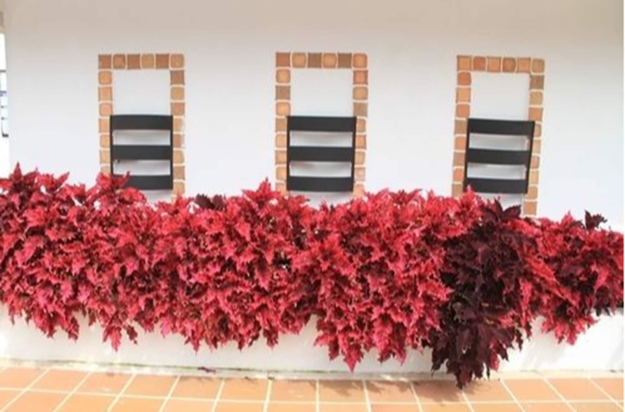 Vista Exterior Hotel Campestre Duranta