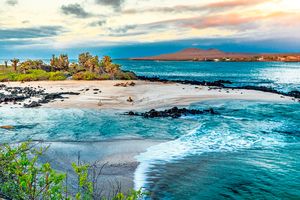 Vuelo - Vuelos a Islas Galápagos