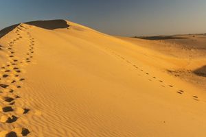 Actividad - Excursión al desierto de Lompoul