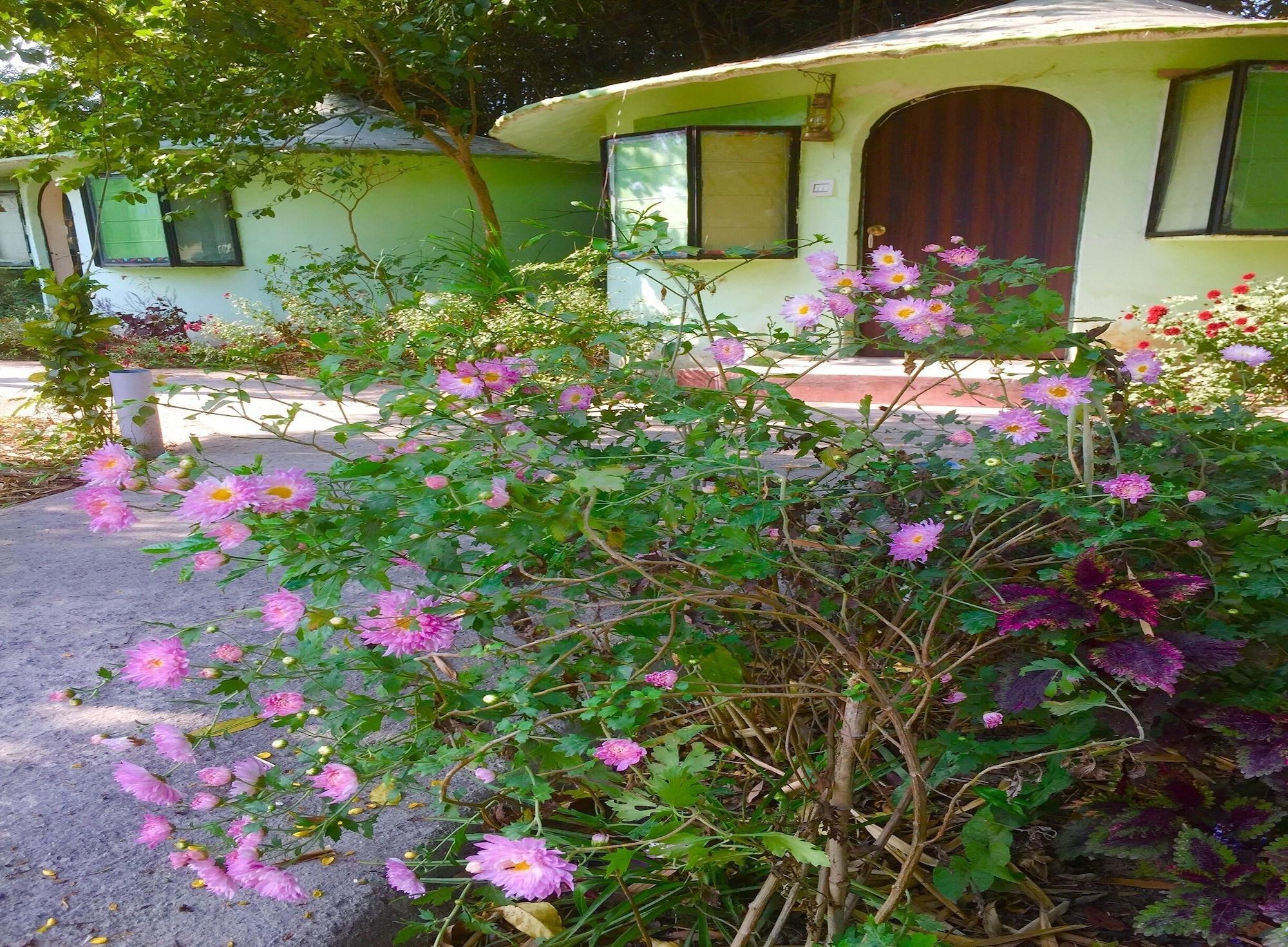 Vista Exterior Eriline Resorts