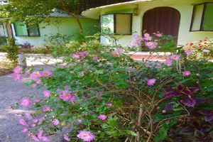 Alojamiento - Eriline Resorts