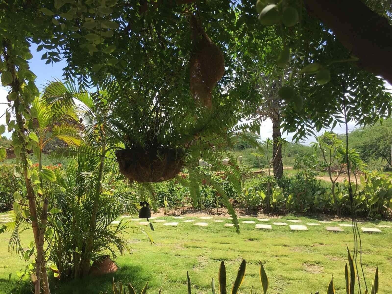 Vista Exterior Villa Bagan