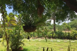 Alojamiento - Villa Bagan